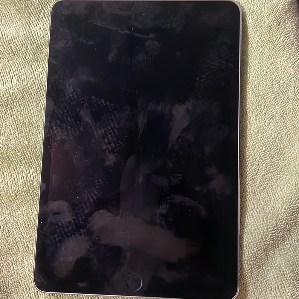 iPad mini 4 - Picture 2 of 2
